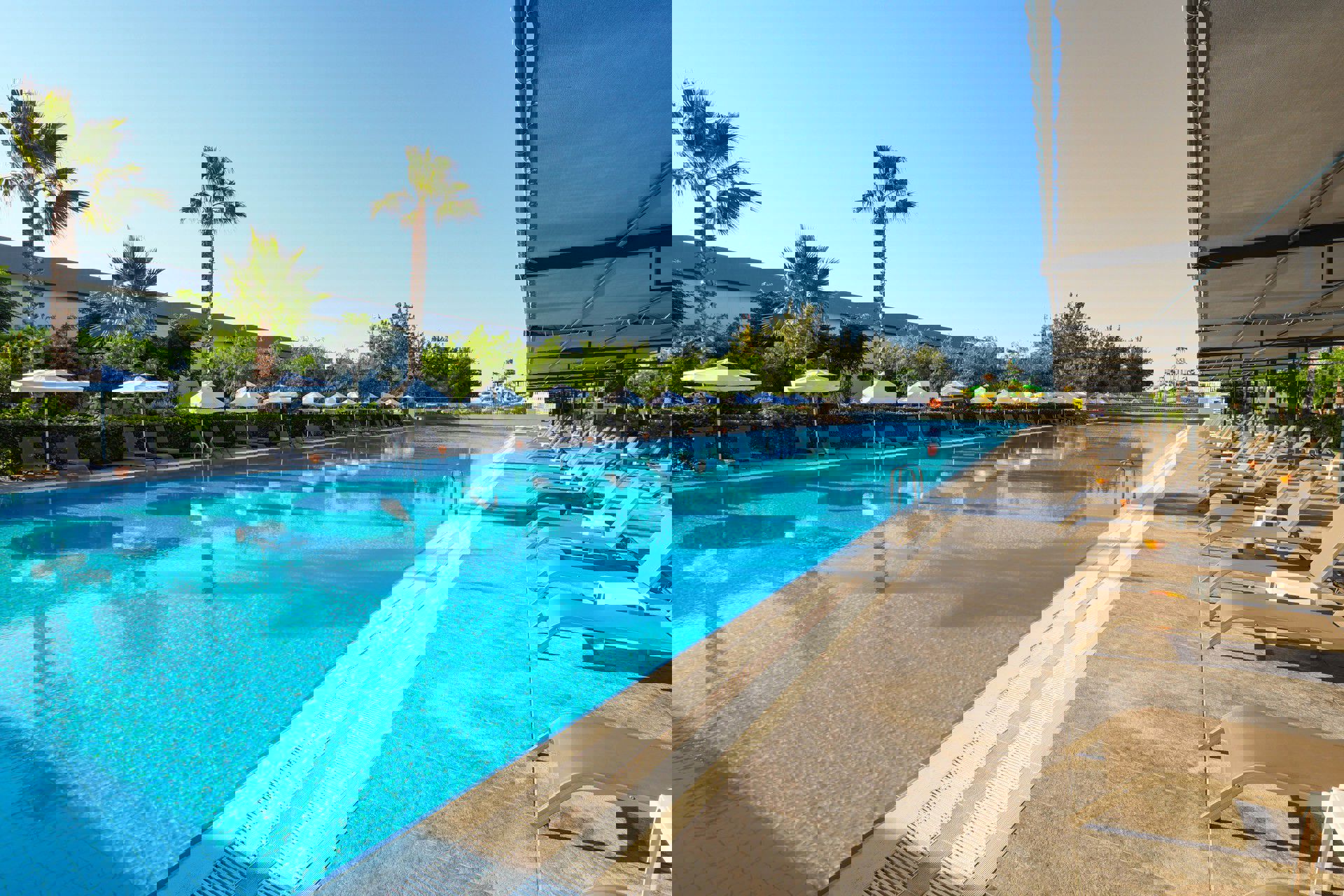 Crystal Centro